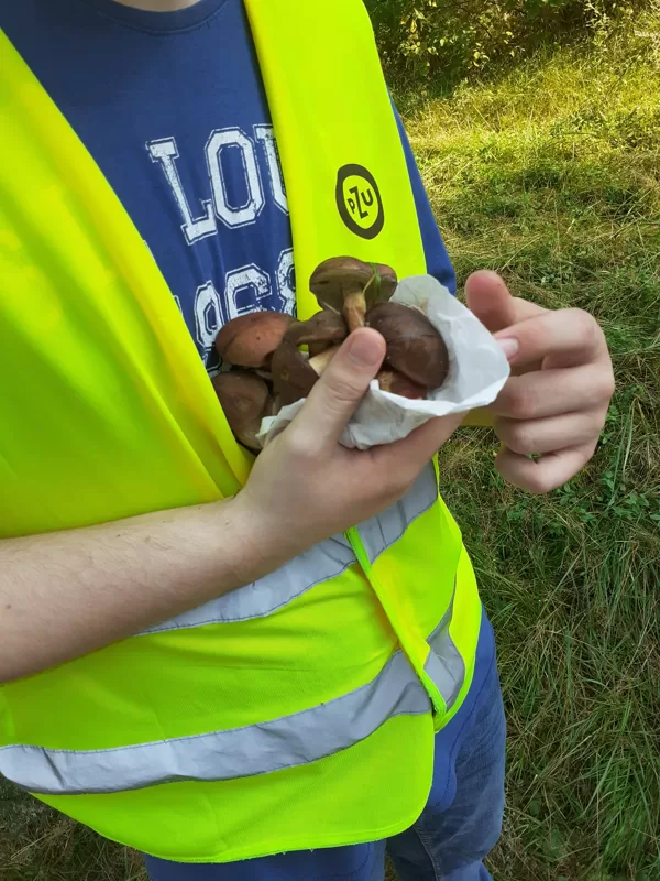 Ikdienas pastaigas dažkārt rezultējas ar pārsteigumiem pilnām rokām